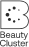 logo beautycluster