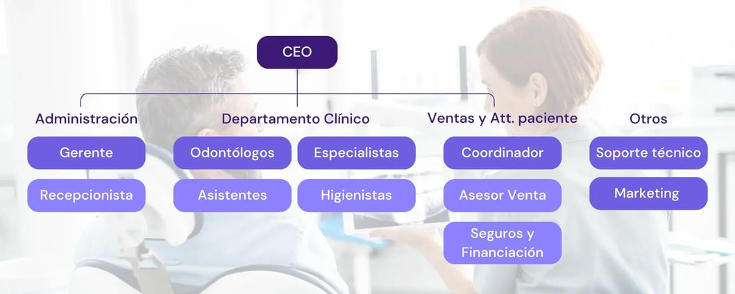 organigrama-clinica-dental_flowww_es