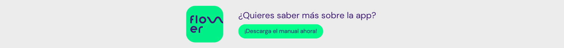 app-flowwwer-manual-descarga_b-1-1