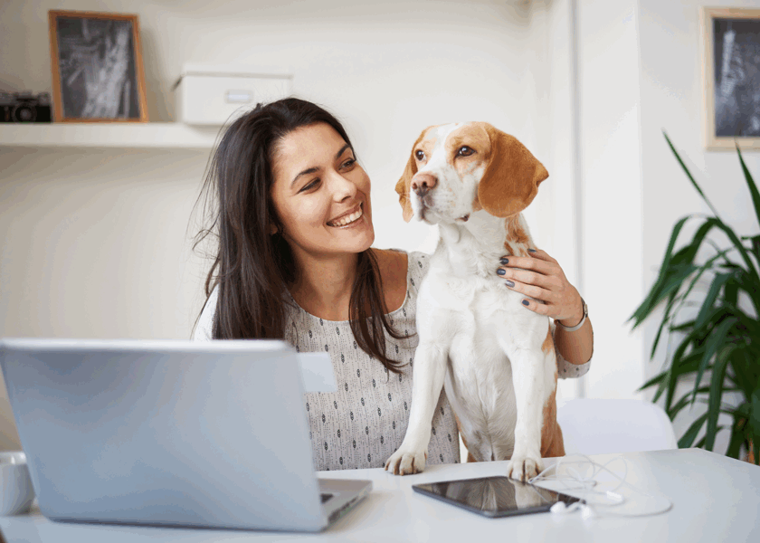 tendencias-los-centros-de-estetica-y-belleza-que-admiten-perros_flowww